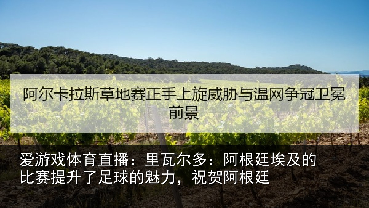 爱游戏体育直播：里瓦尔多：阿根廷埃及的比赛提升了足球的魅力，祝贺阿根廷